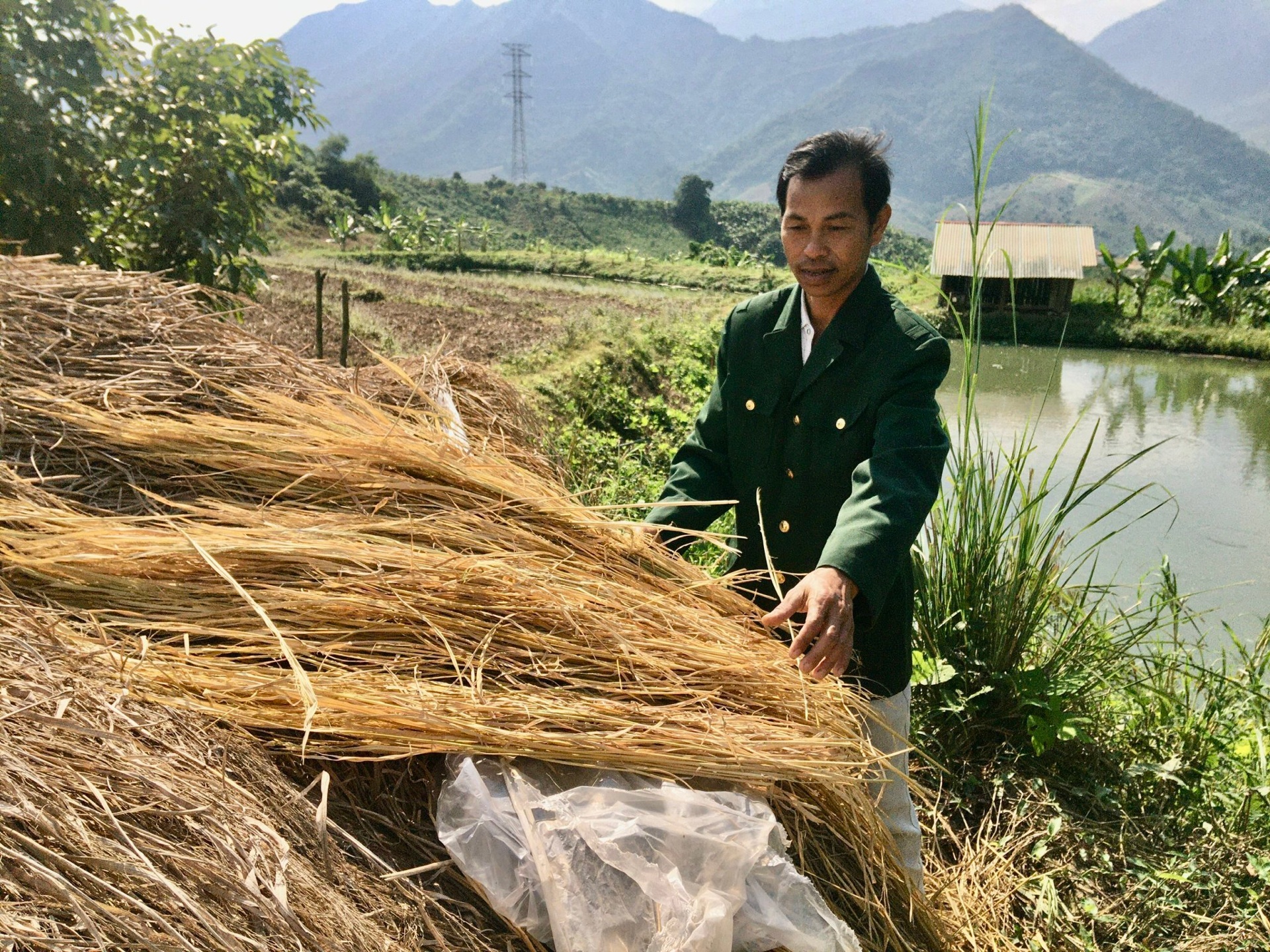Hội viên hội CCB xã tích cực phát triển nông nghiệp