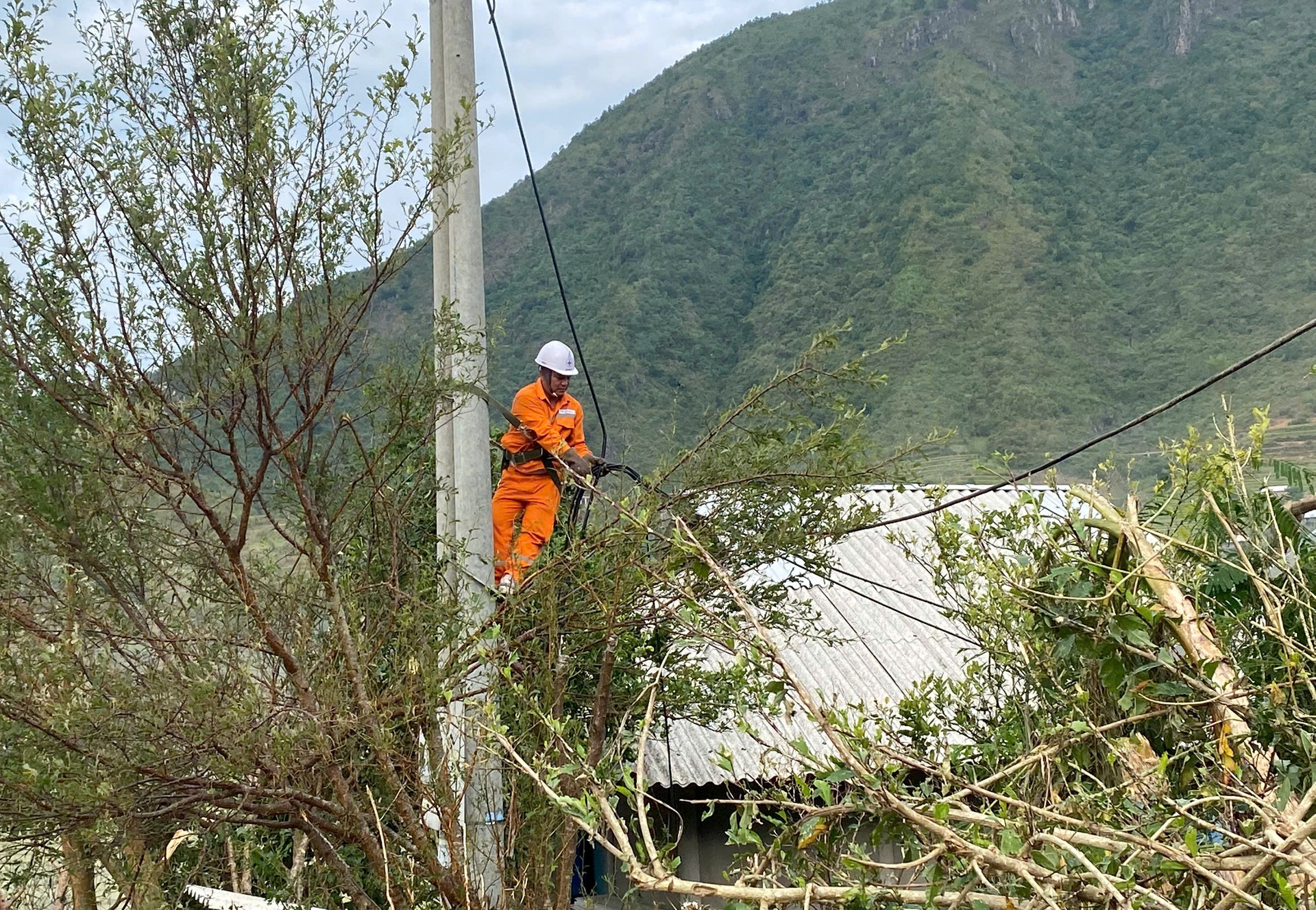 Cán bộ Điện lực Than Uyên khẩn trương khắc phục sự cố đường điện do thiên tai gây ra.
