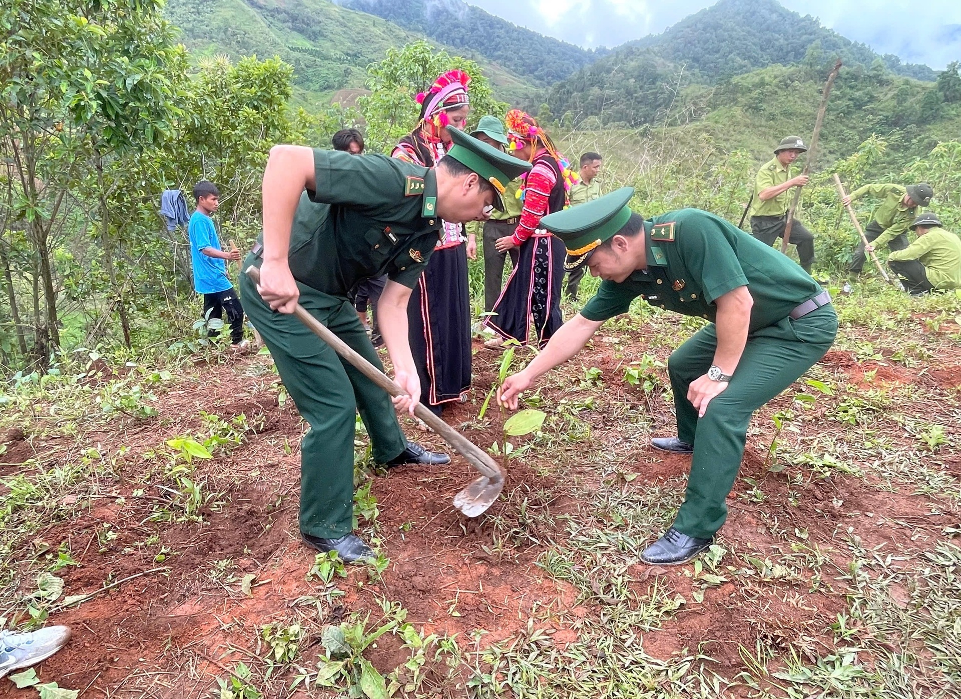 trồng cây
